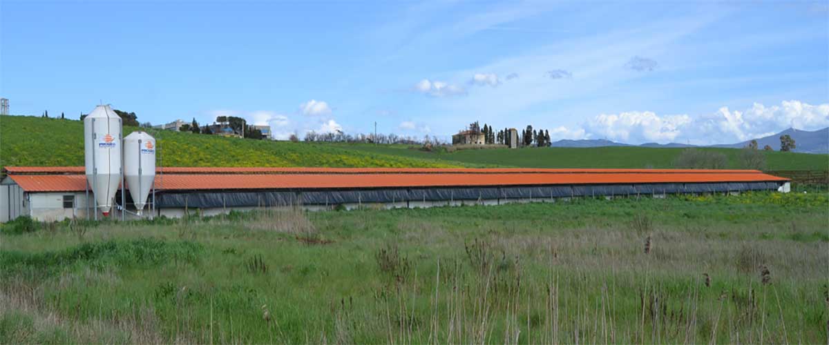 Rosignano-1200x500 Rosignano-1200x500