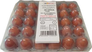 Pasta-Gialla-1